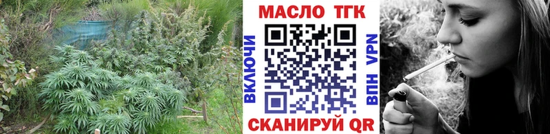 ТГК концентрат Цоци-Юрт