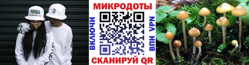 blacksprut ONION  Цоци-Юрт  Галлюциногенные грибы мухоморы 